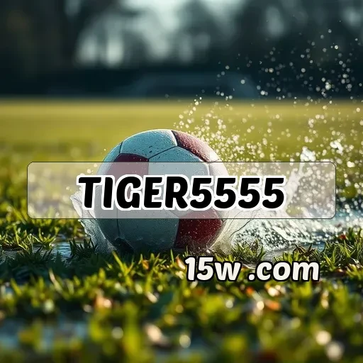 tiger5555: Eventos Imperdíveis e Oportunidades para Jogadores
