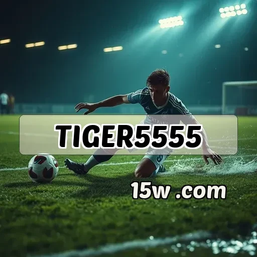 tiger5555: Dicas Essenciais para Jogadores Ambiciosos e Criativos